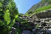 43 Di pietra piatta in pietra piatta come salire una erta scala...